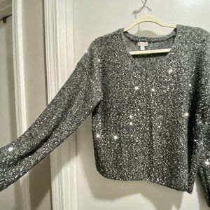 Garnet Hill Sequined Silver V-Neck Sweater Like New!